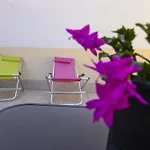 Casa Lella Boutique Vila